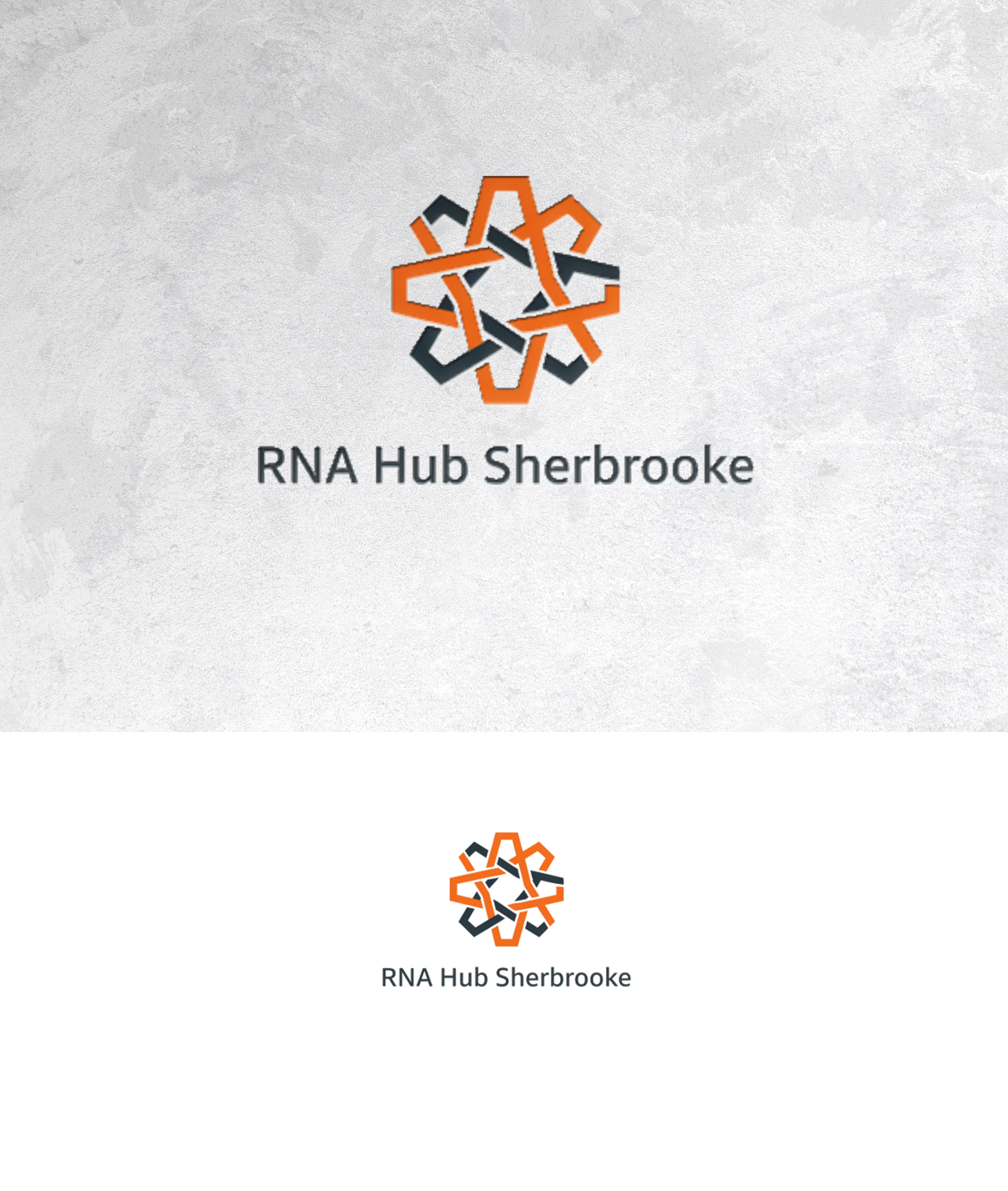Logo Design by sonu.CR for this project | Design #36981599