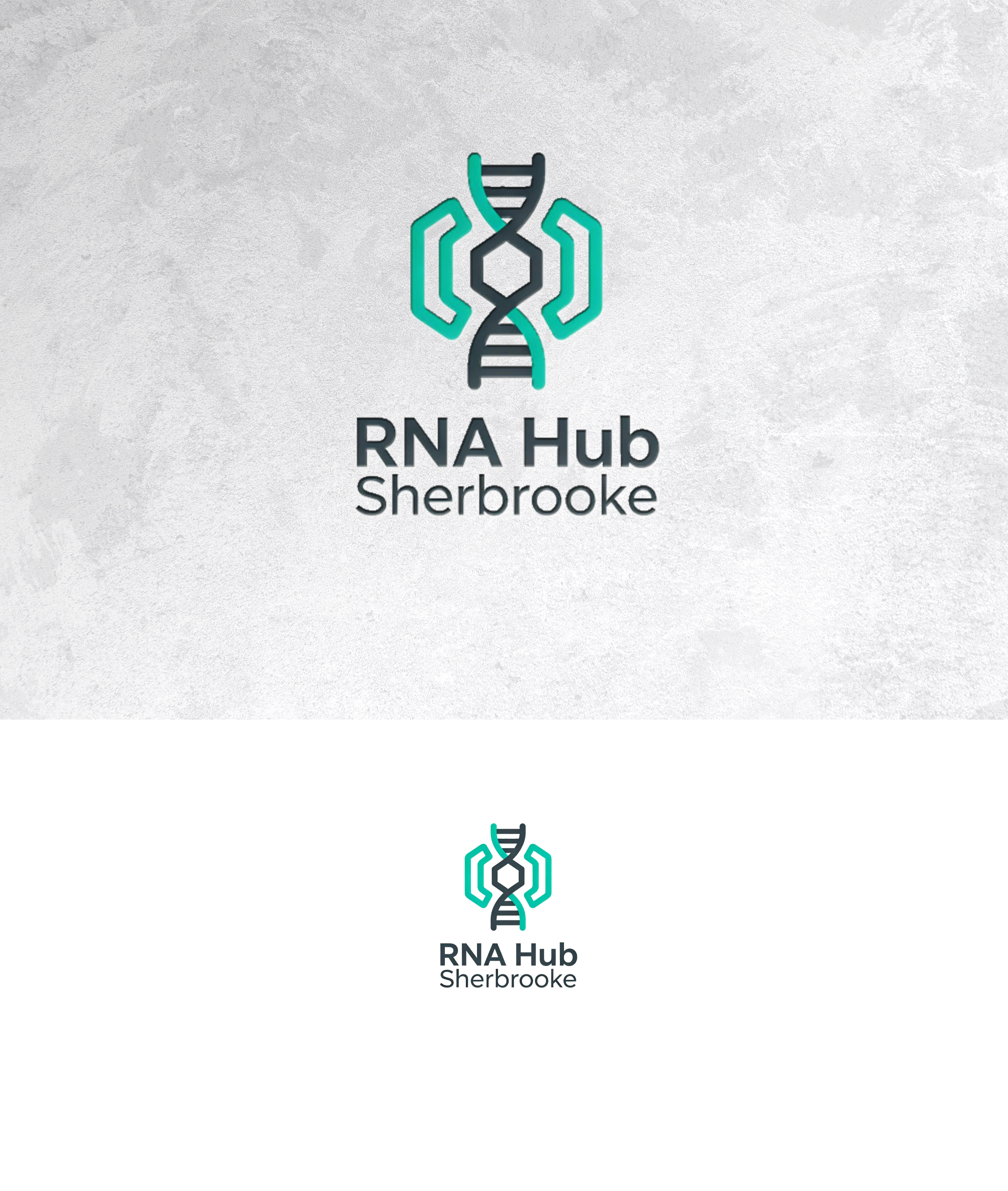 Logo Design by sonu.CR for this project | Design #36981600