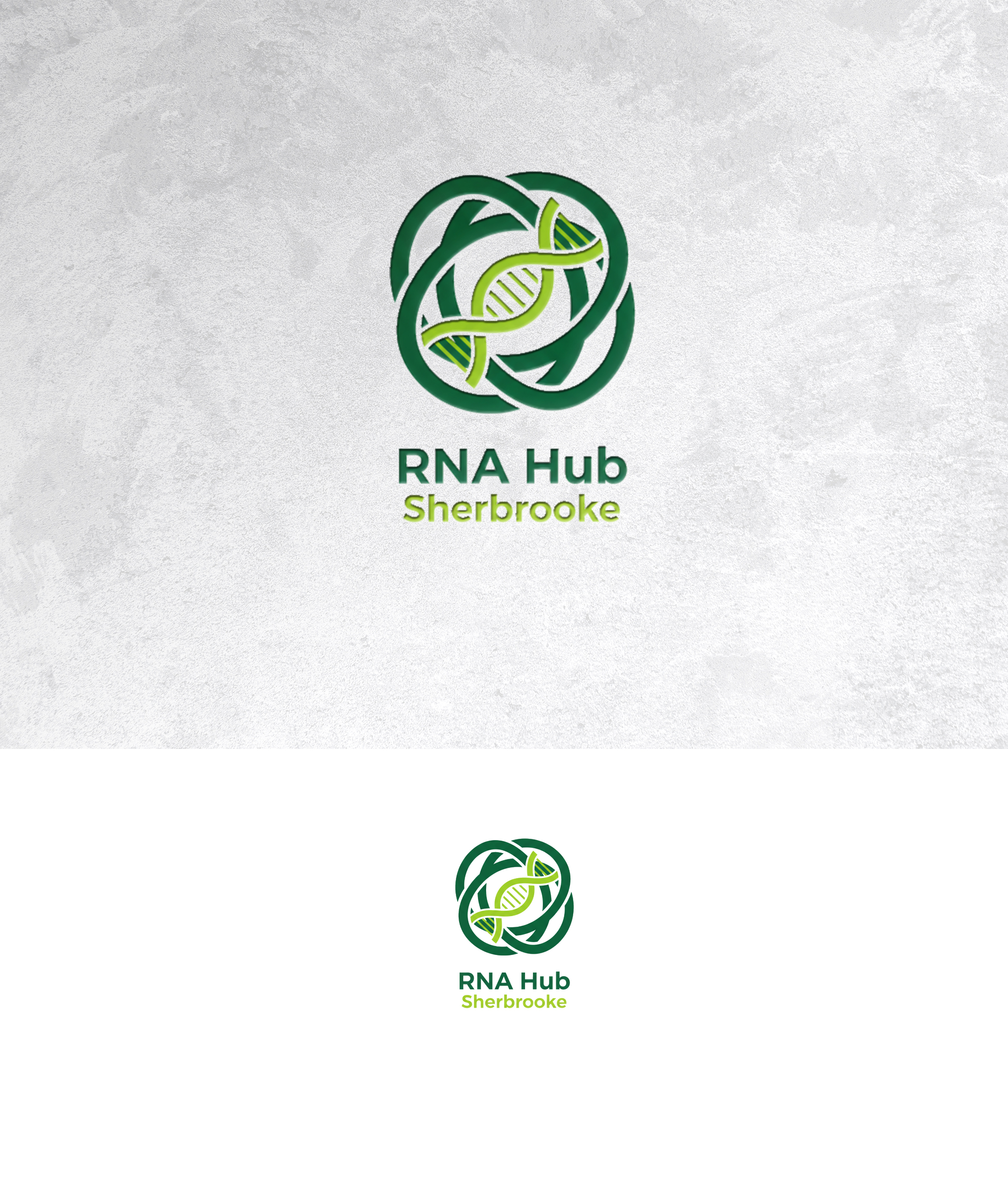 Logo Design by sonu.CR for this project | Design #36981608