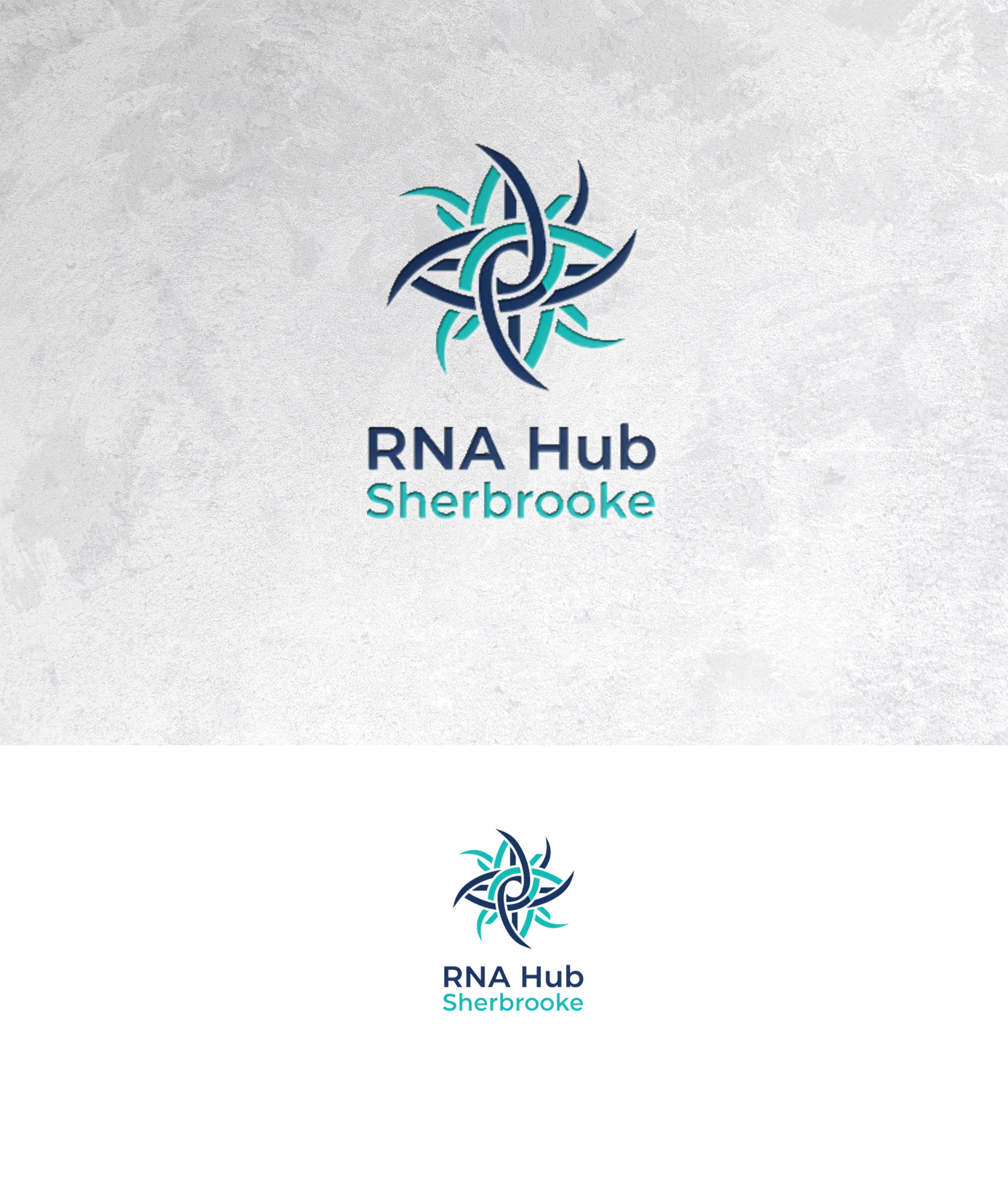 Logo Design by sonu.CR for this project | Design #36981610