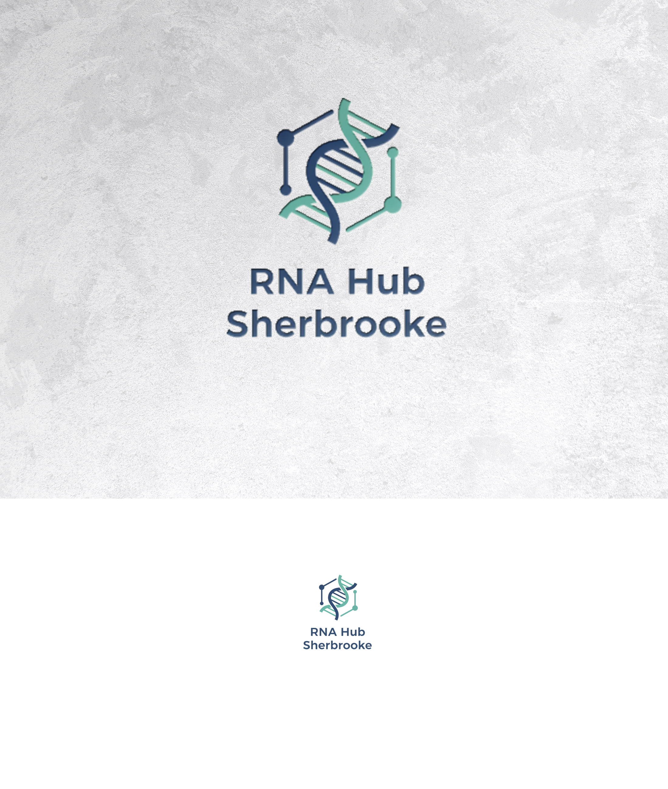 Logo Design by sonu.CR for this project | Design #36981611
