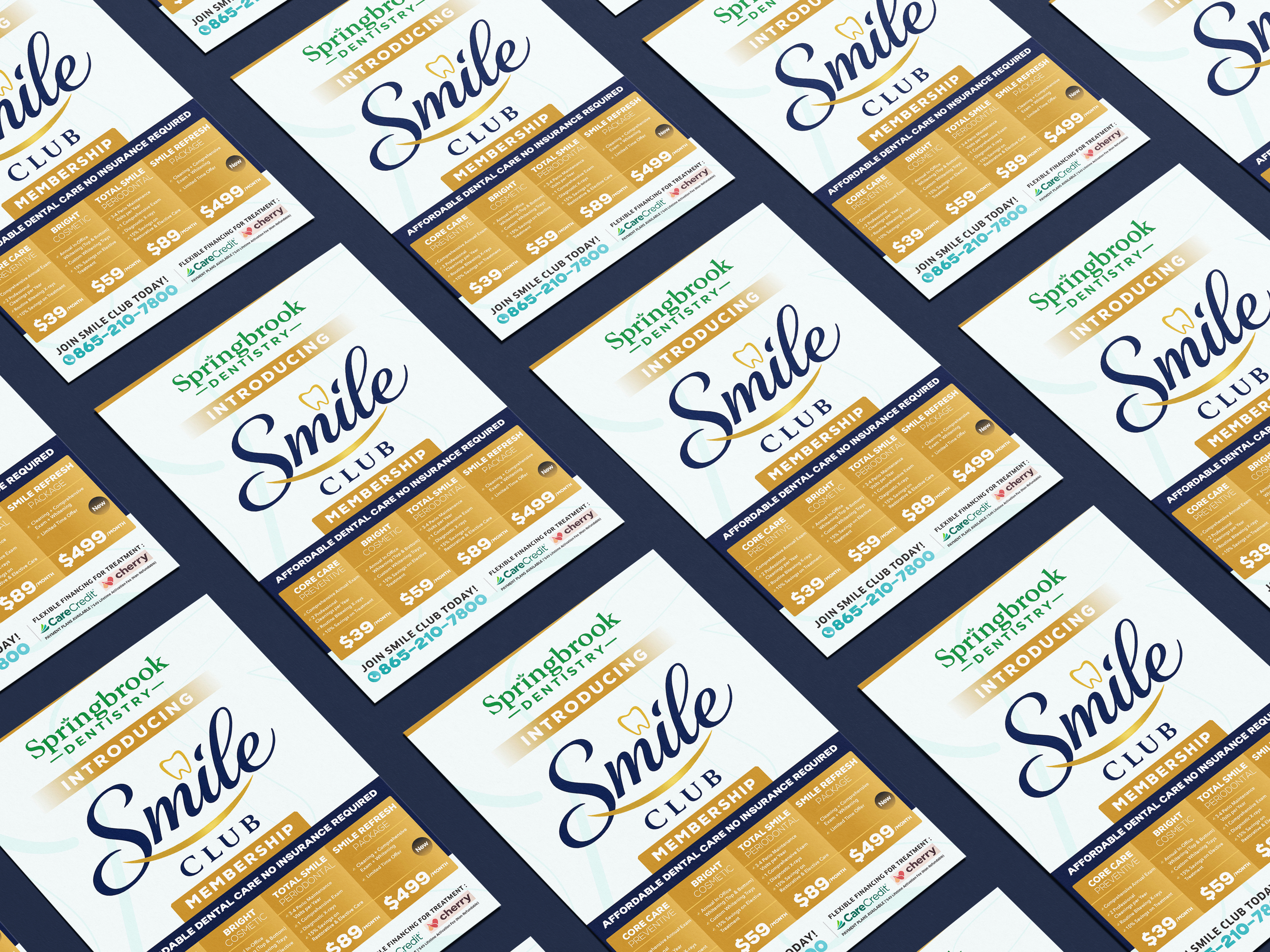 Flyer Design by SAMPA DUARI for this project | Design #36975262