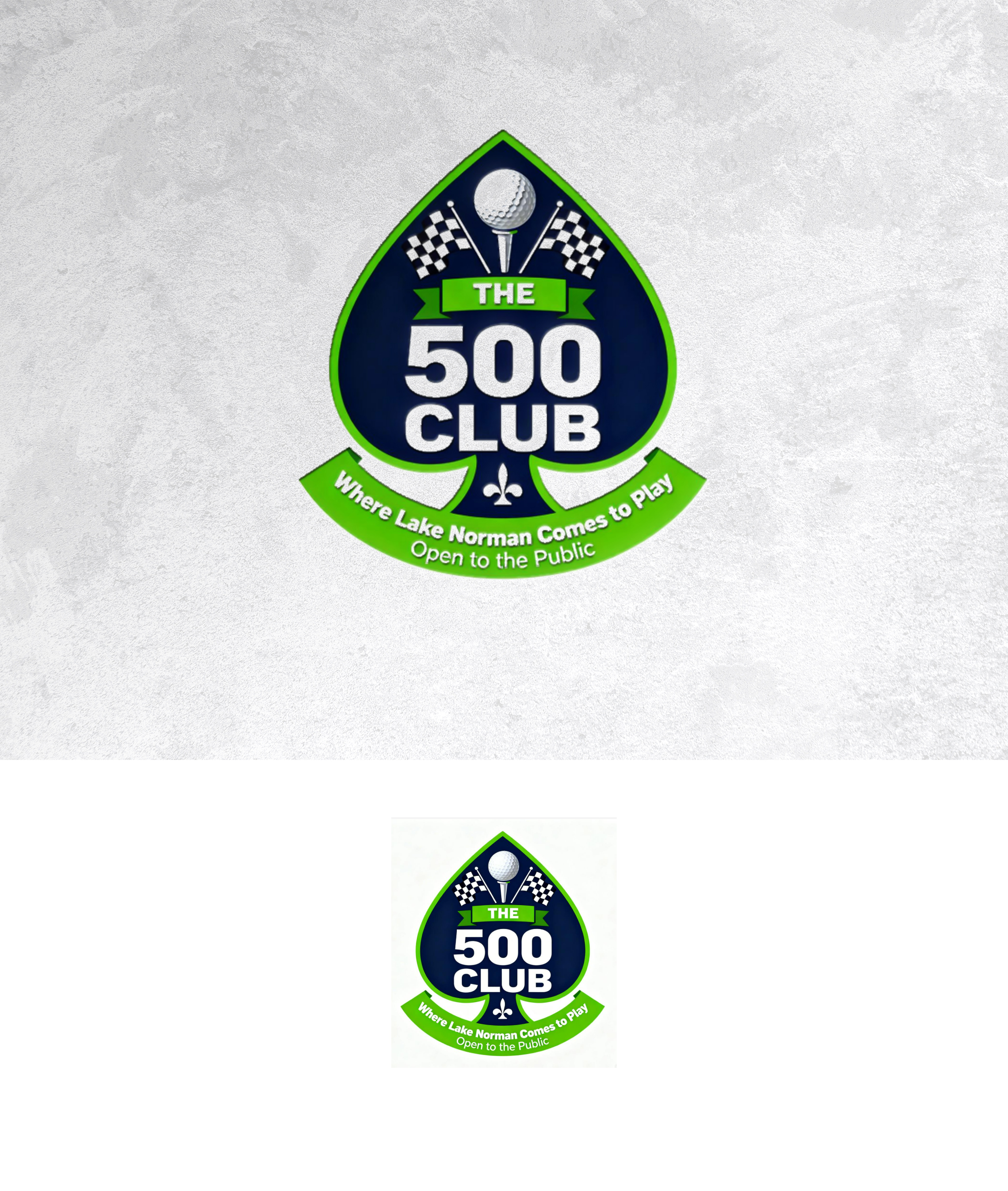 Logo Design by sonu.CR for this project | Design #36987497