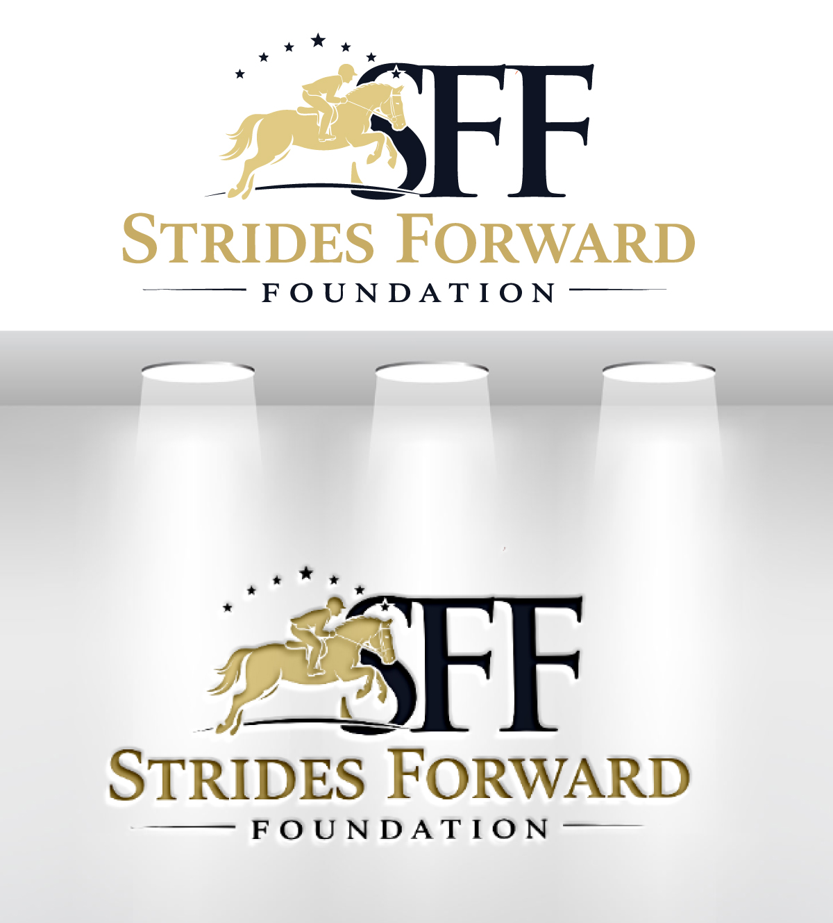 Logo Design by VisionCraft™ for this project | Design #36986643