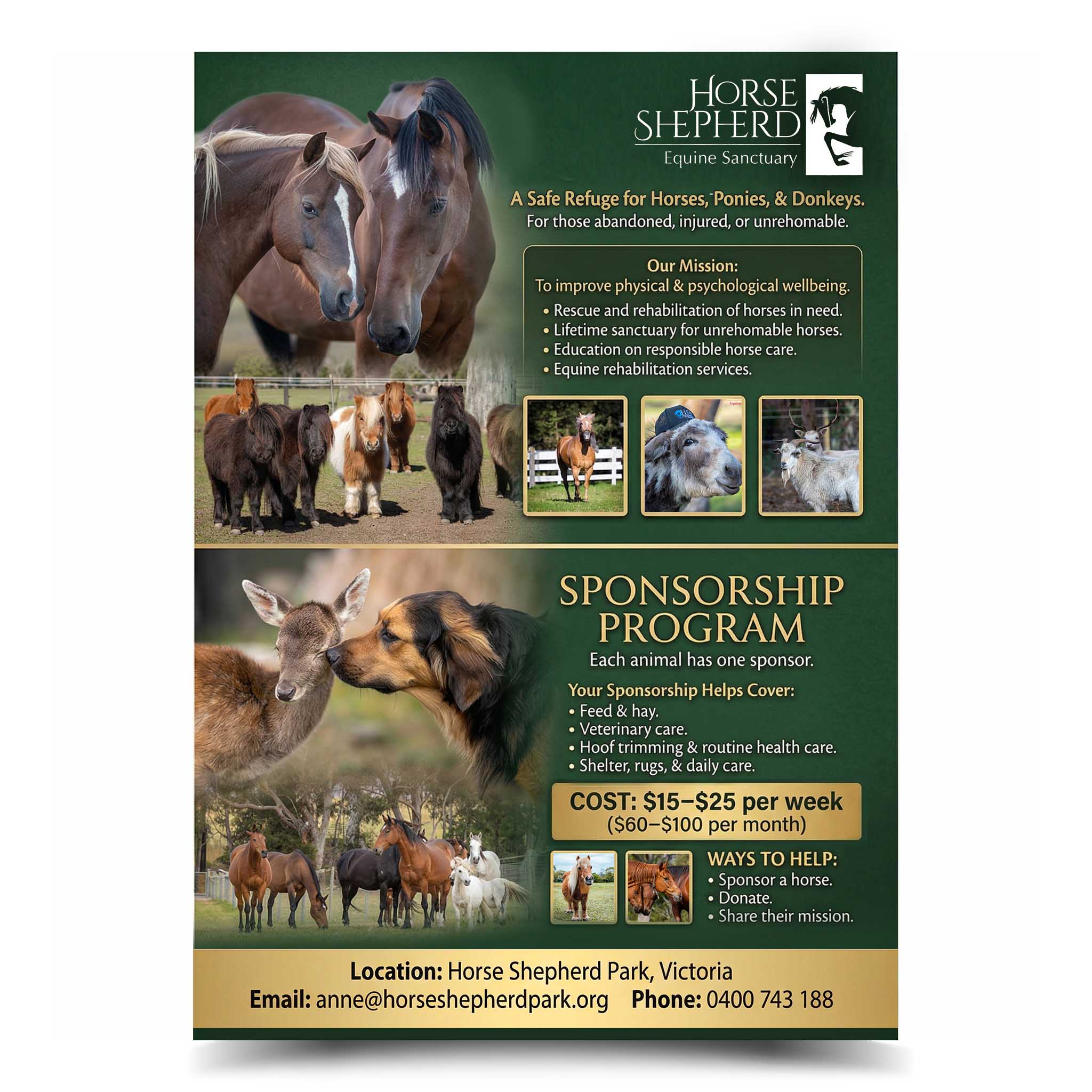 Flyer Design by sanabil for this project | Design #36989115