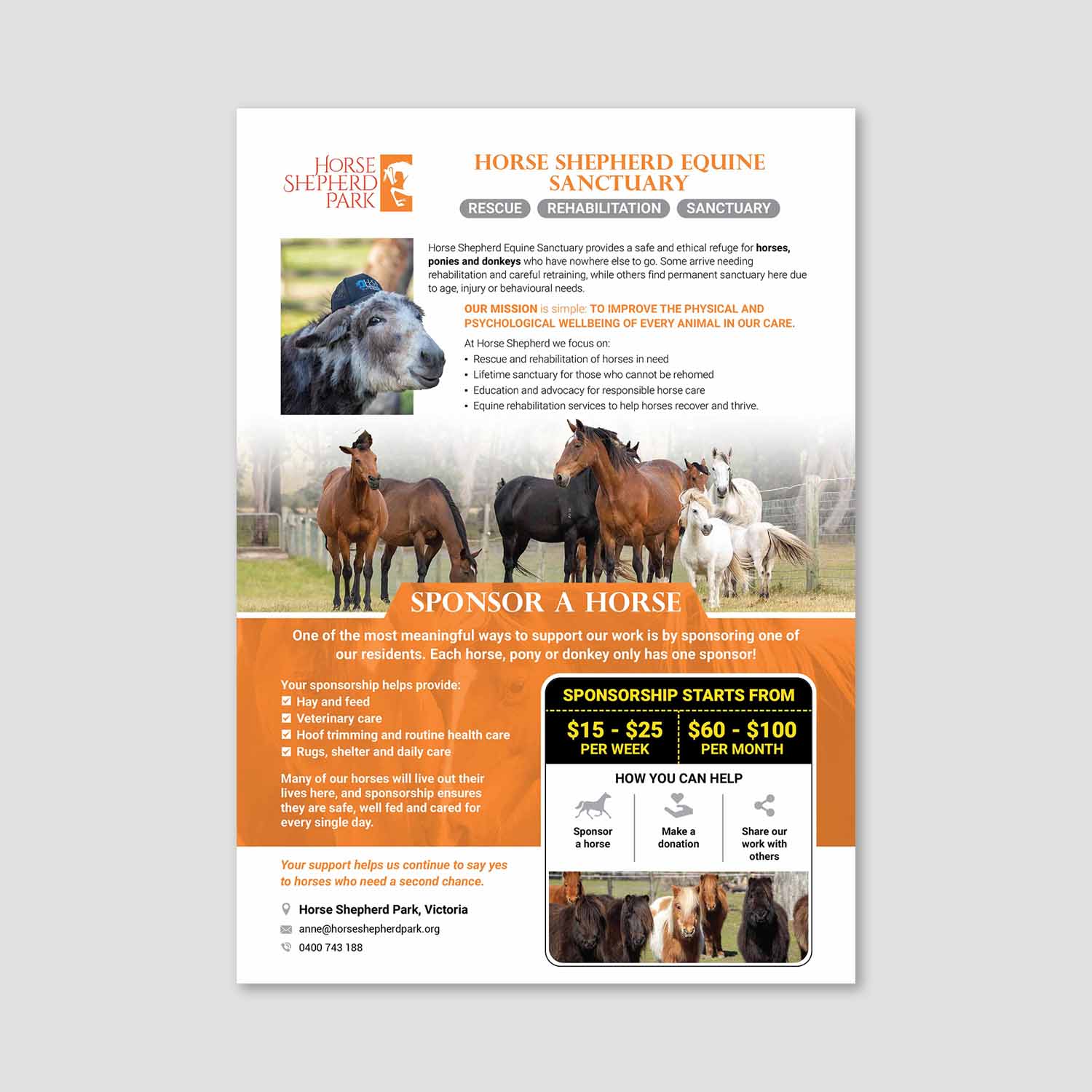 Flyer Design by san.ty for this project | Design #36993337