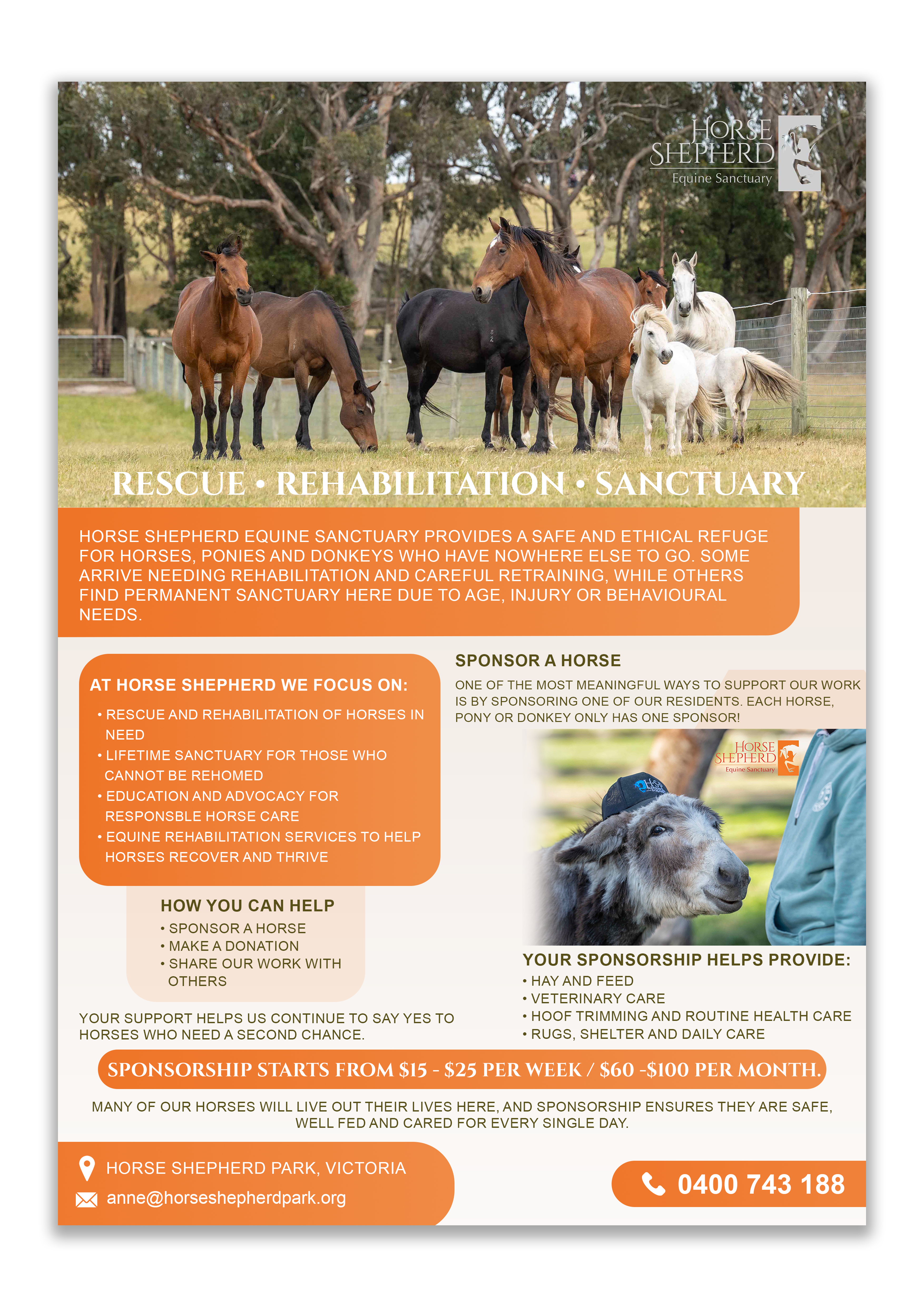 Flyer Design by BEJIN for this project | Design #36993592