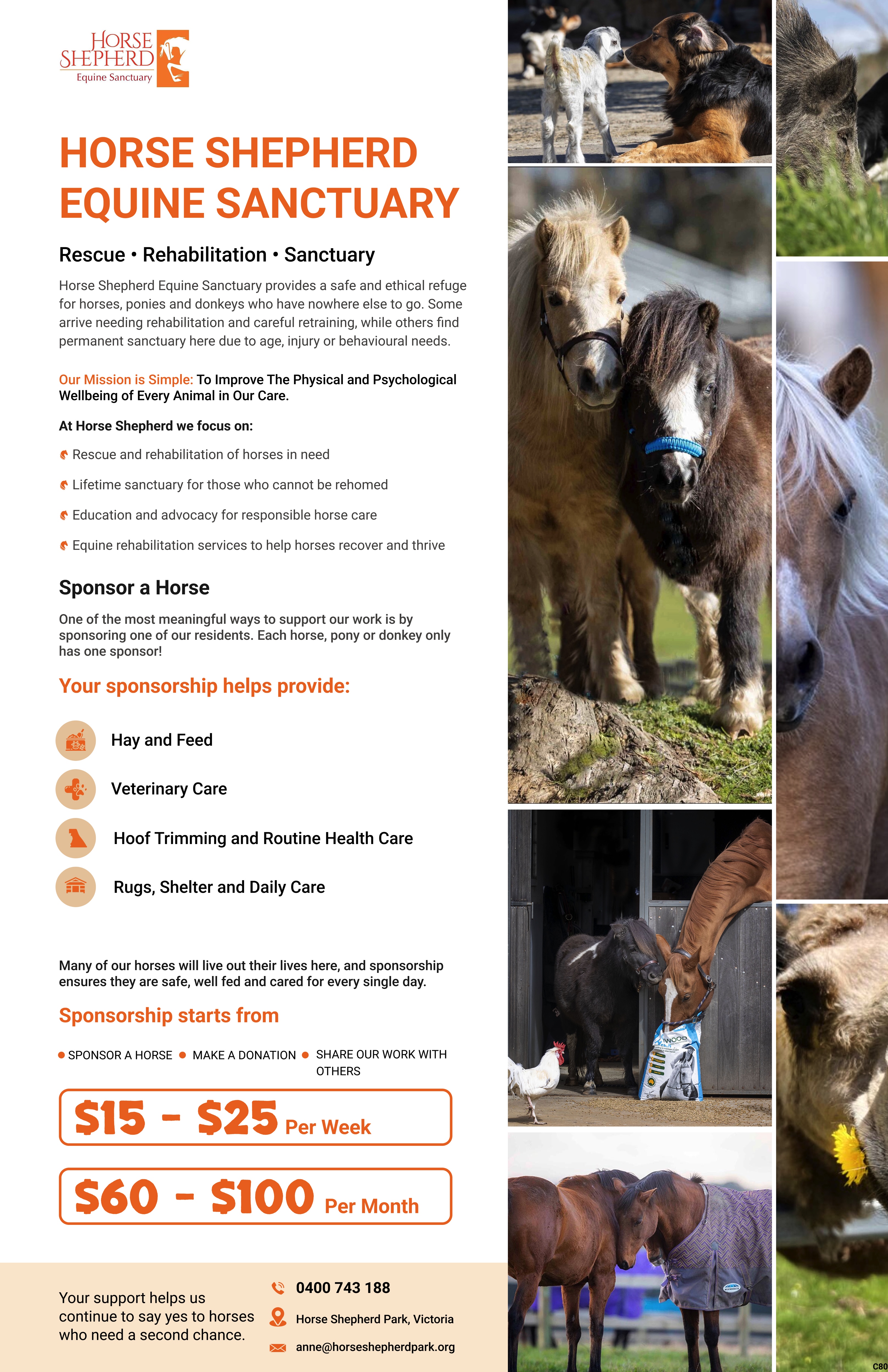 Flyer Design by pb for this project | Design #36994952