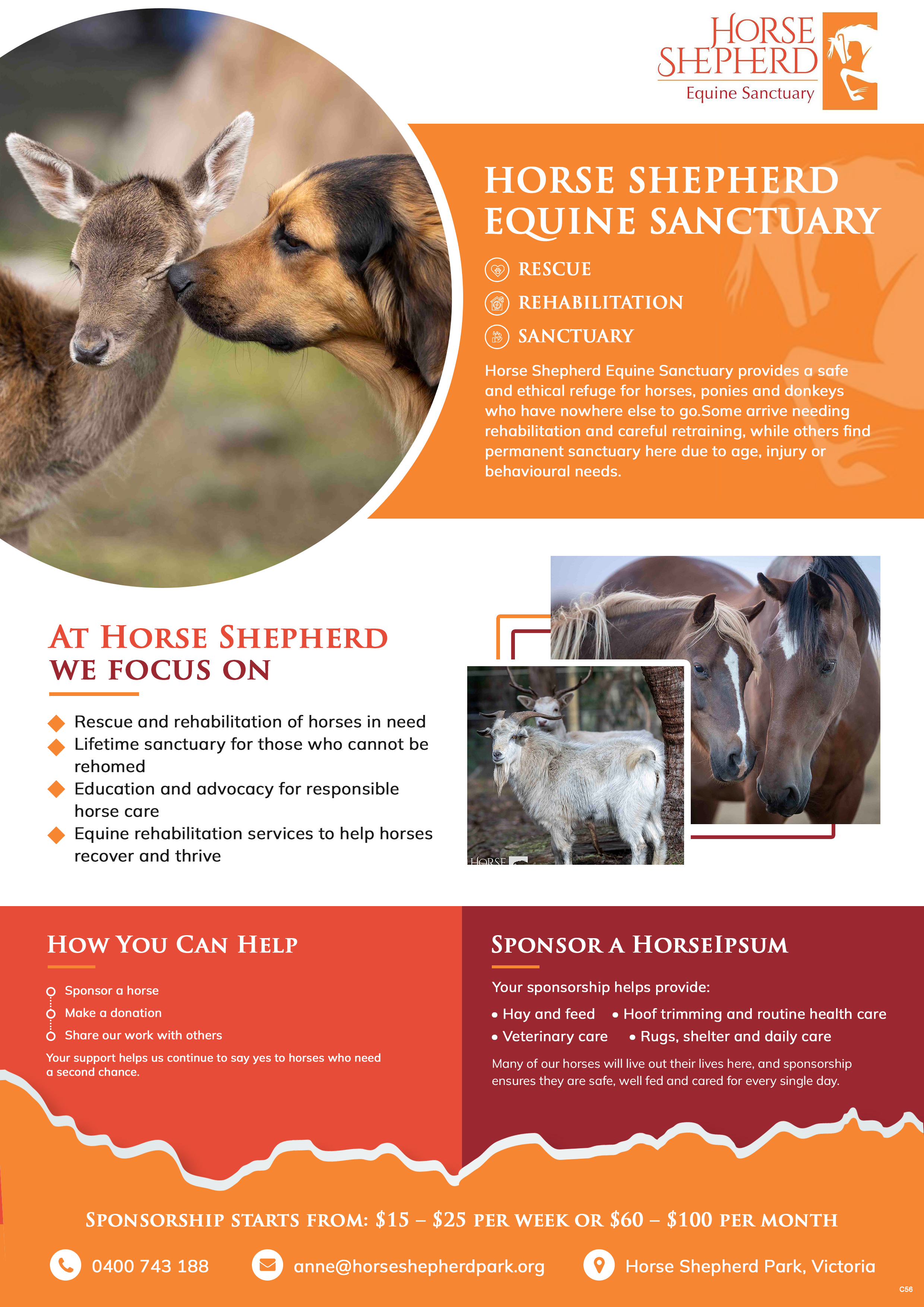 Flyer Design by pb for this project | Design #36994958