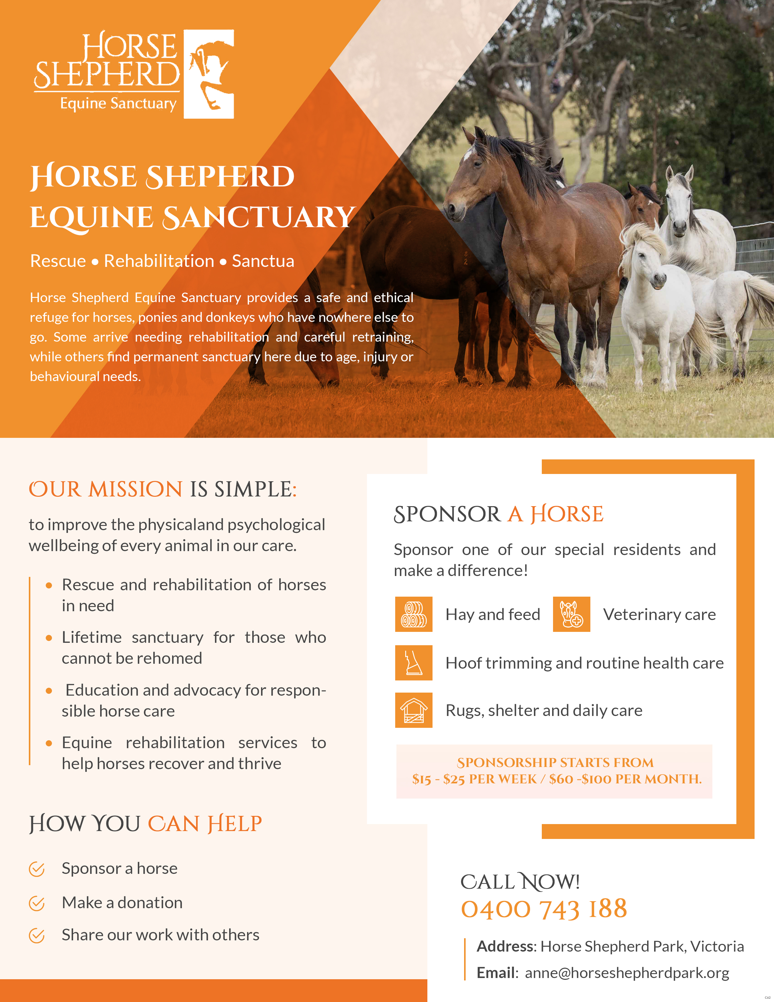 Flyer Design by pb for this project | Design #36994959