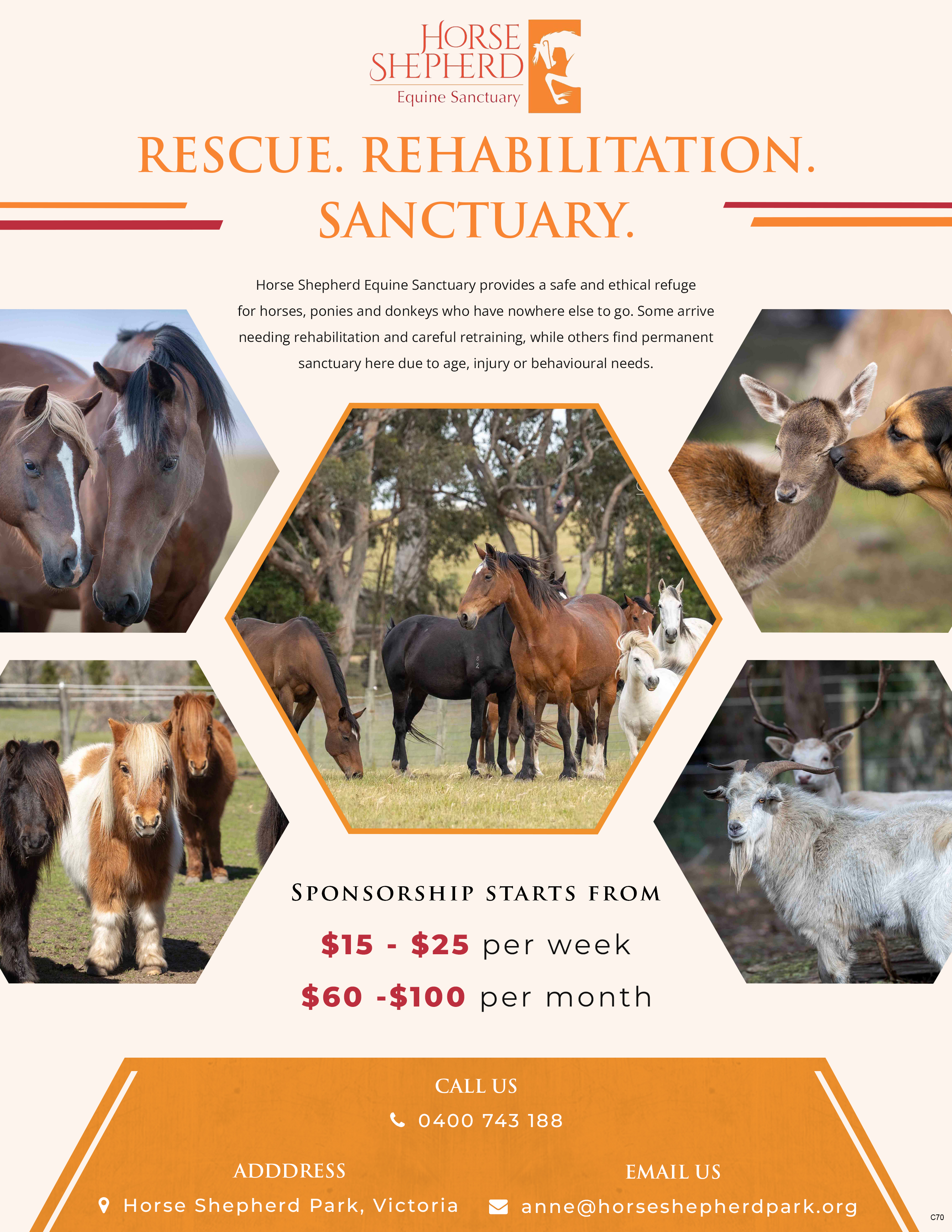 Flyer Design by pb for this project | Design #36994960