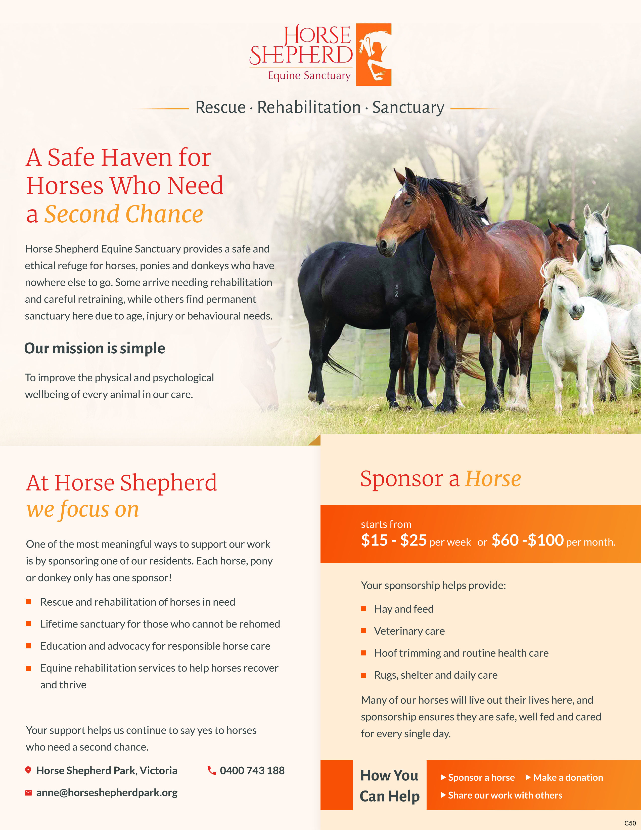 Flyer-Design von pb für dieses Projekt | Design #36994963