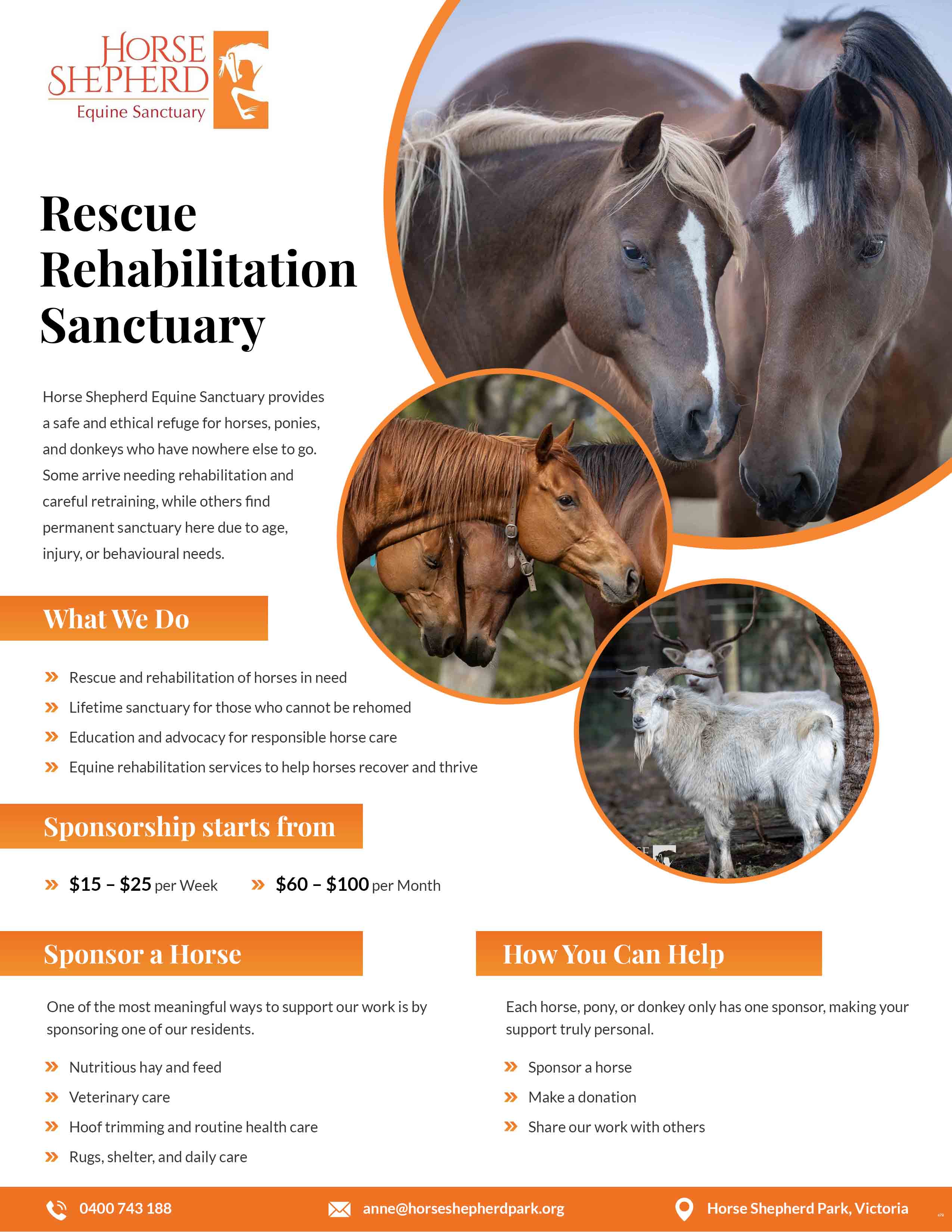 Flyer Design by pb for this project | Design #36994964