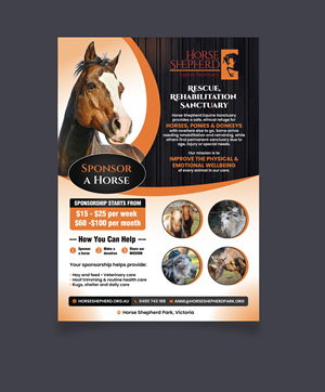 Diseño de Flyer por saurov para este proyecto | Diseño #36989572