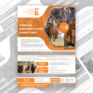 Diseño de Flyer por joneerror para este proyecto | Diseño #36984981