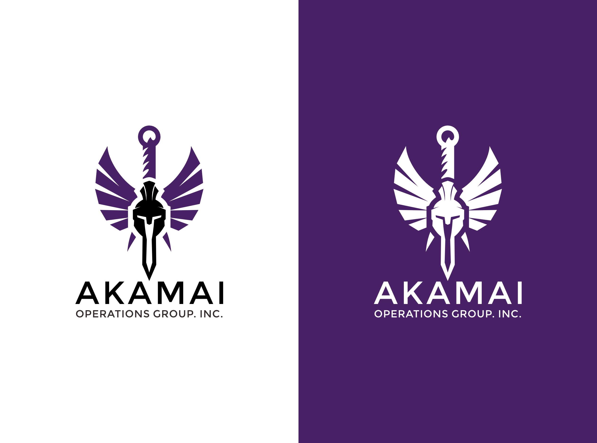 Logo Design by ander sky dc for this project | Design #37015551