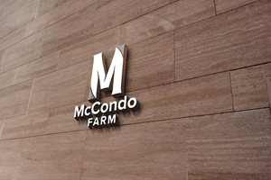 Design de Logo par DesignMaker 2 pour ce projet | Design : #37011037