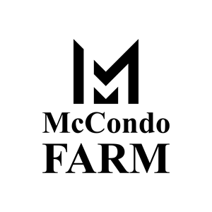 Design de Logo par andreaslucky pour ce projet | Design : #36987209