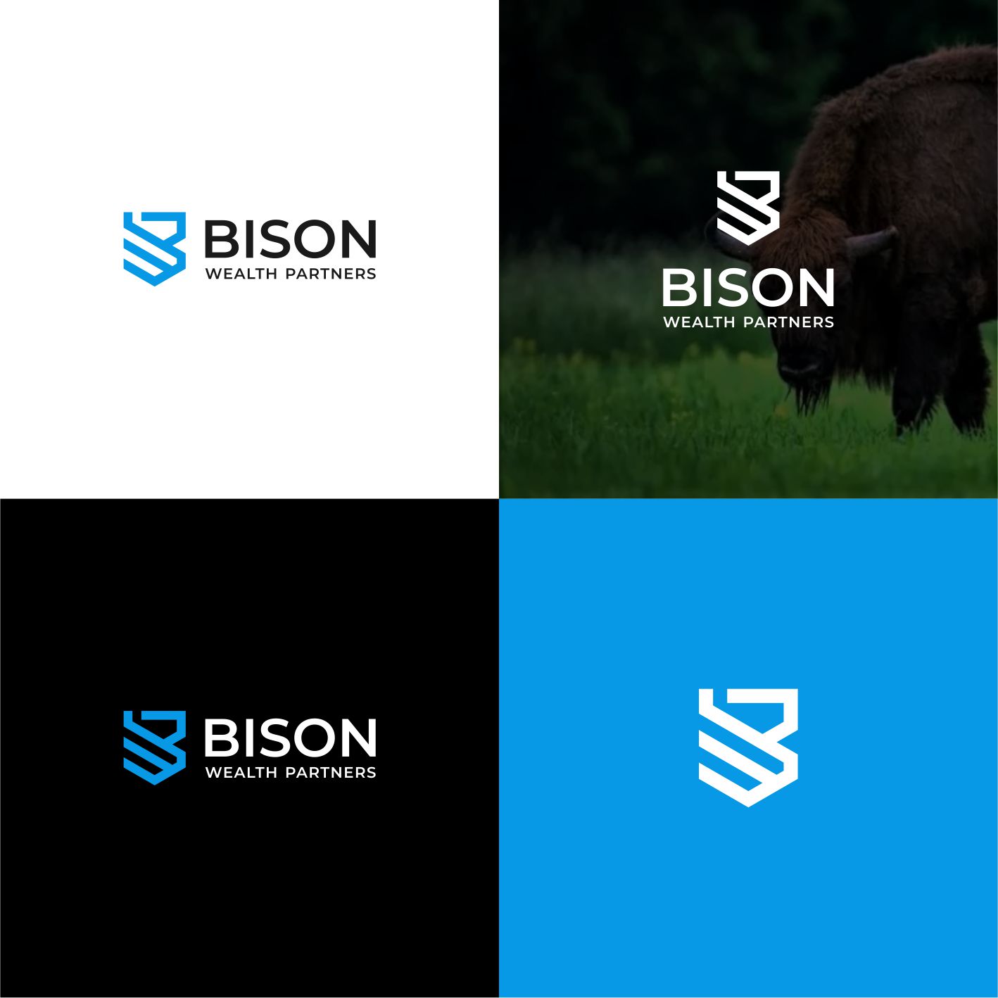 Logo Design by _Mr.art for this project | Design #36996901