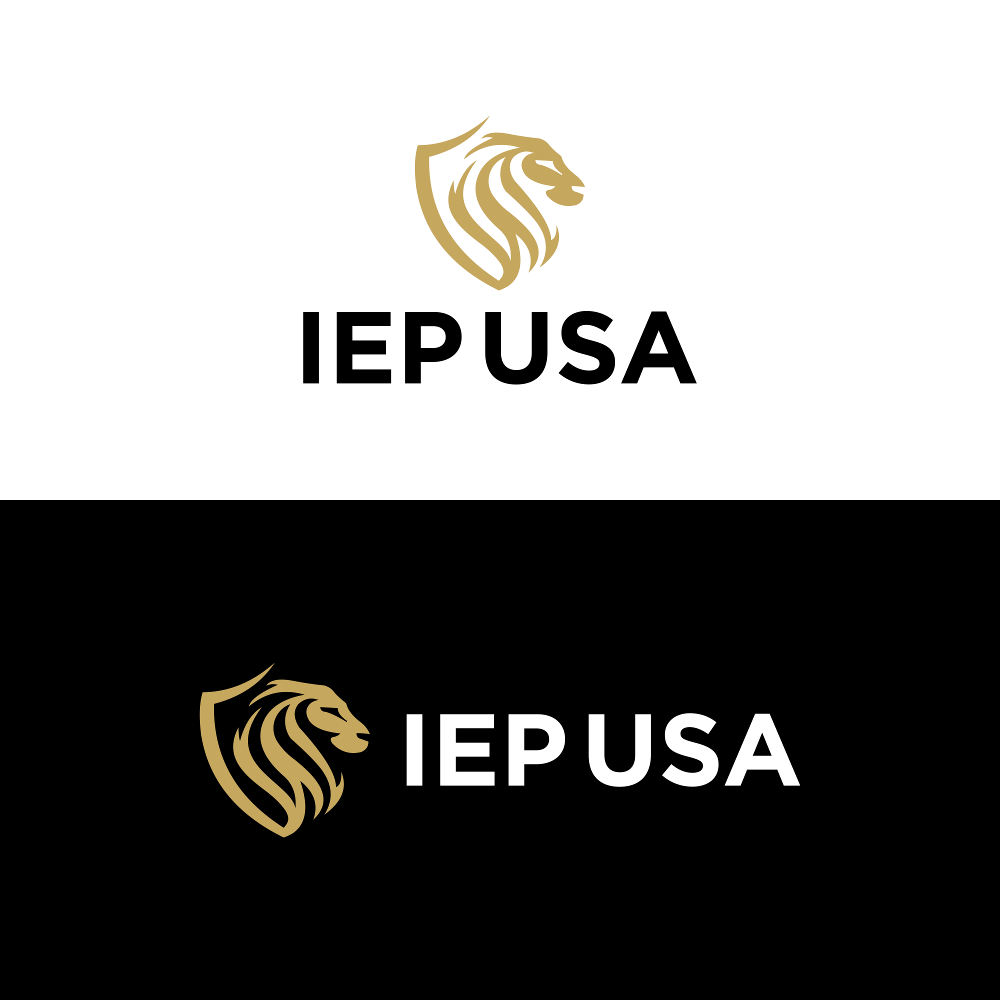 Logo Design by ni9 for this project | Design #36999674