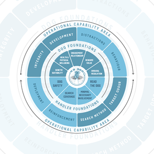 Graphic Design by Sultan  Studio for this project | Design: #37001448