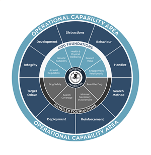 Graphic Design by Rickyy for this project | Design: #37014578