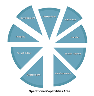 Graphic Design by Rickyy for this project | Design: #37014829