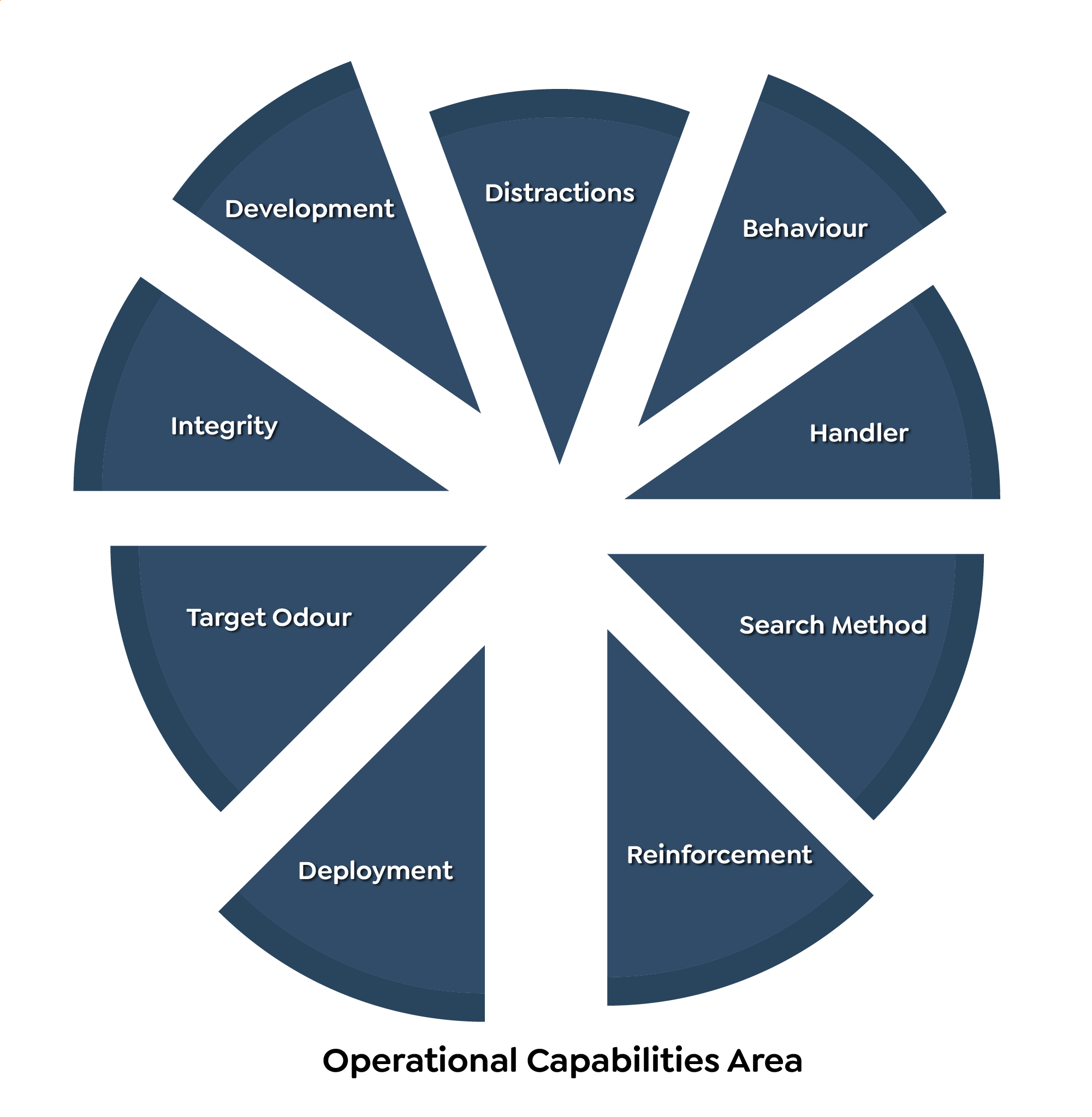 Graphic Design by Rickyy for this project | Design #37014832