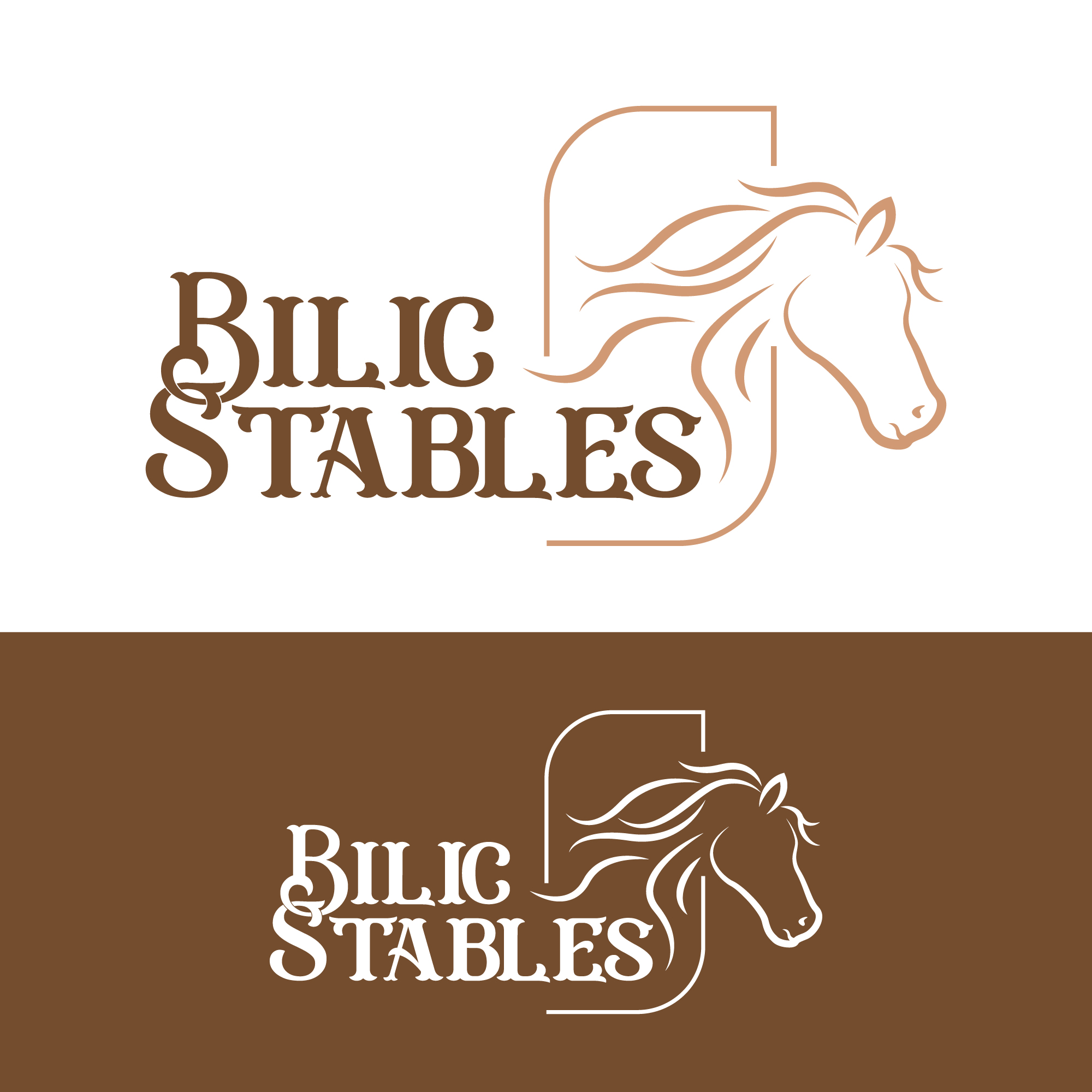 Logo Design by Harold C for Blue Star Charters & Tours, Inc. | Design #37002906