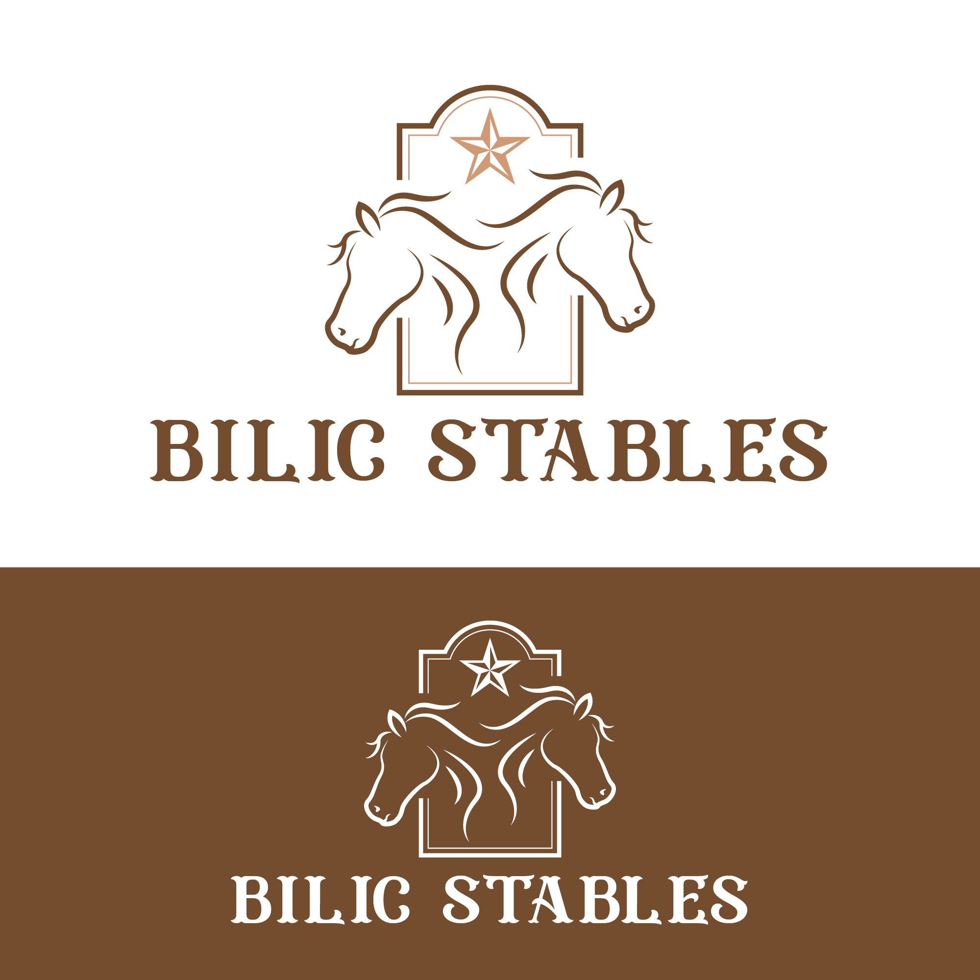 Logo Design by Harold C for Blue Star Charters & Tours, Inc. | Design #37002907