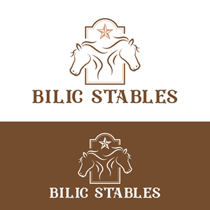 Logo Design by Harold C for Blue Star Charters & Tours, Inc. | Design: #37002907