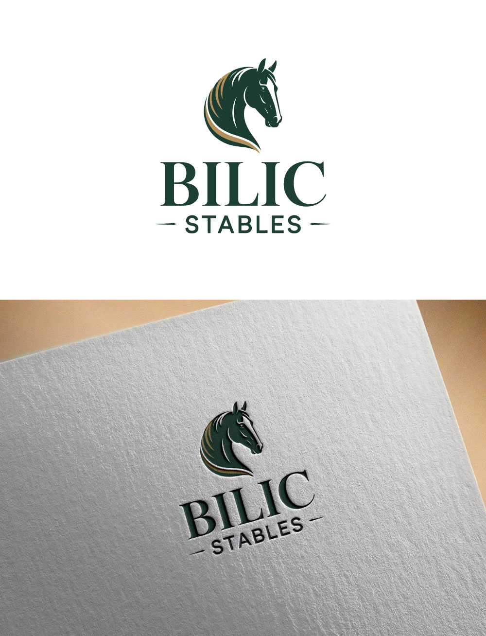 Diseño de Logo por KING JM para Blue Star Charters & Tours, Inc. | Diseño #37035103