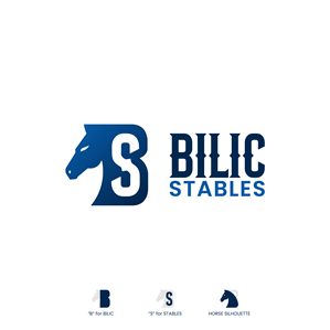 Logo Design by Aljune Castro Designs for Blue Star Charters & Tours, Inc. | Design #37003102