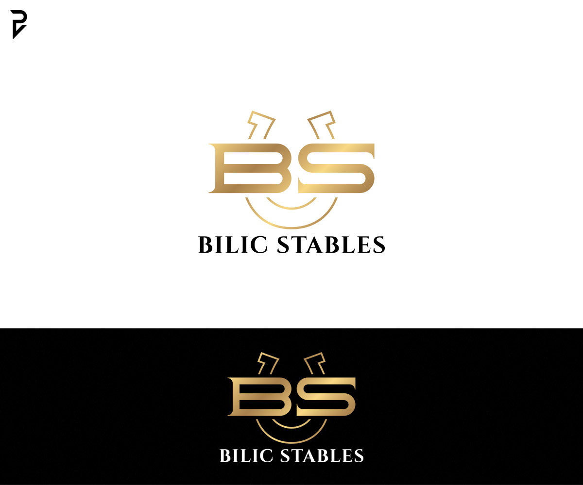 Logo Design by poisonvectors for Blue Star Charters & Tours, Inc. | Design #37036337