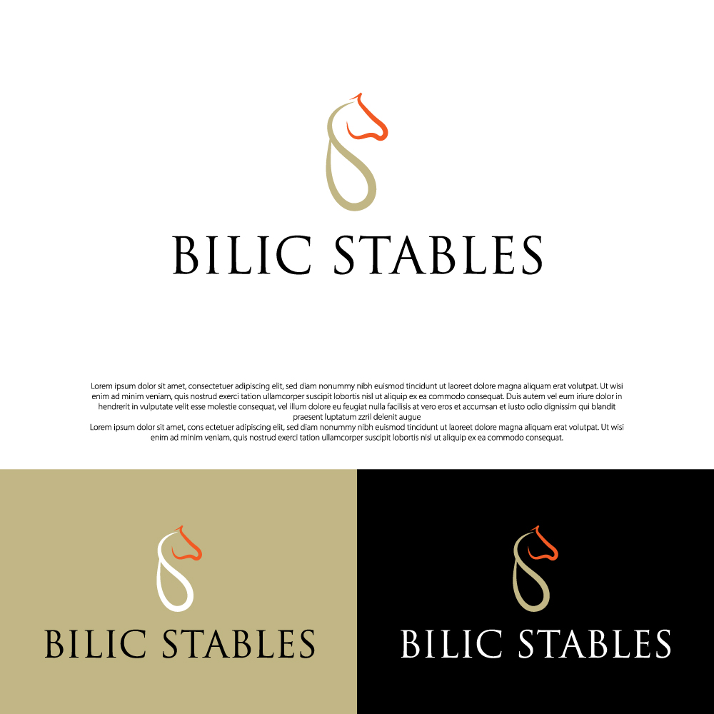 Diseño de Logo por Designerrasedul para Blue Star Charters & Tours, Inc. | Diseño #37034725