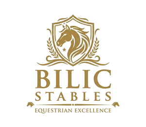 Logo Design by Samiul01 for Blue Star Charters & Tours, Inc. | Design: #37033396