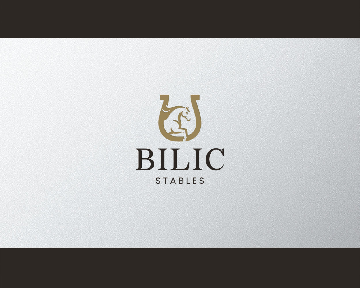 Logo Design by Alex Martin for Blue Star Charters & Tours, Inc. | Design #37035139