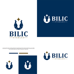 Logo Design by Nembelas Studio for Blue Star Charters & Tours, Inc. | Design #37038332