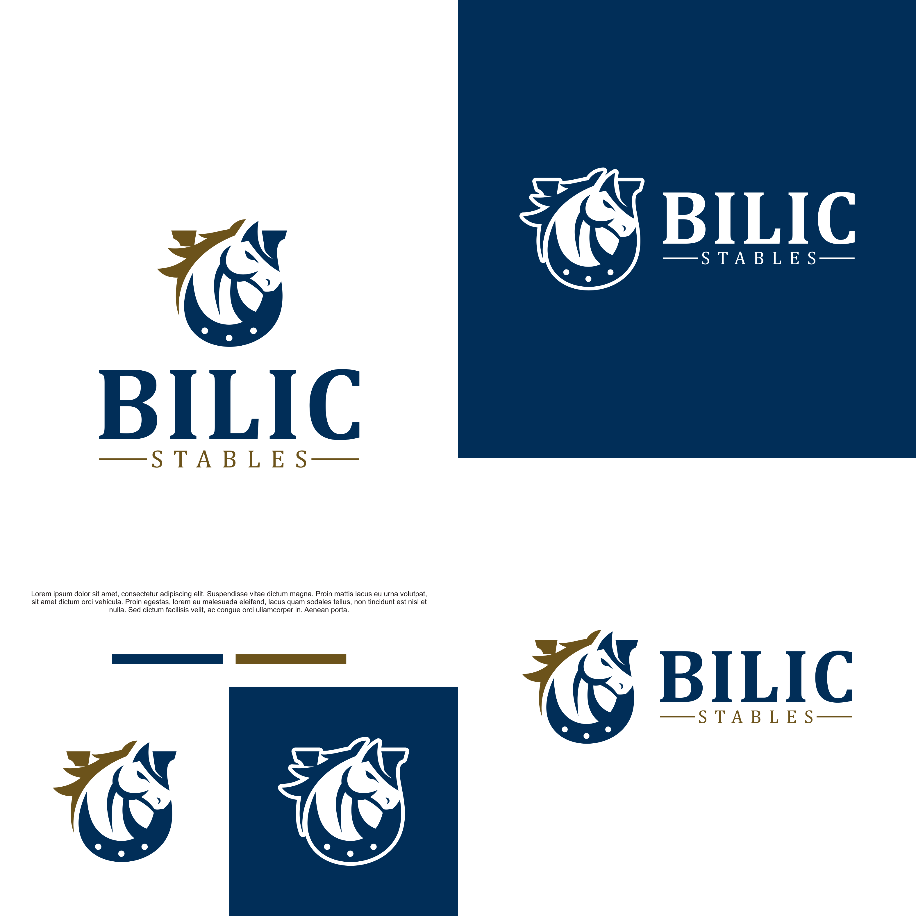 Logo Design by Nembelas Studio for Blue Star Charters & Tours, Inc. | Design #37038481