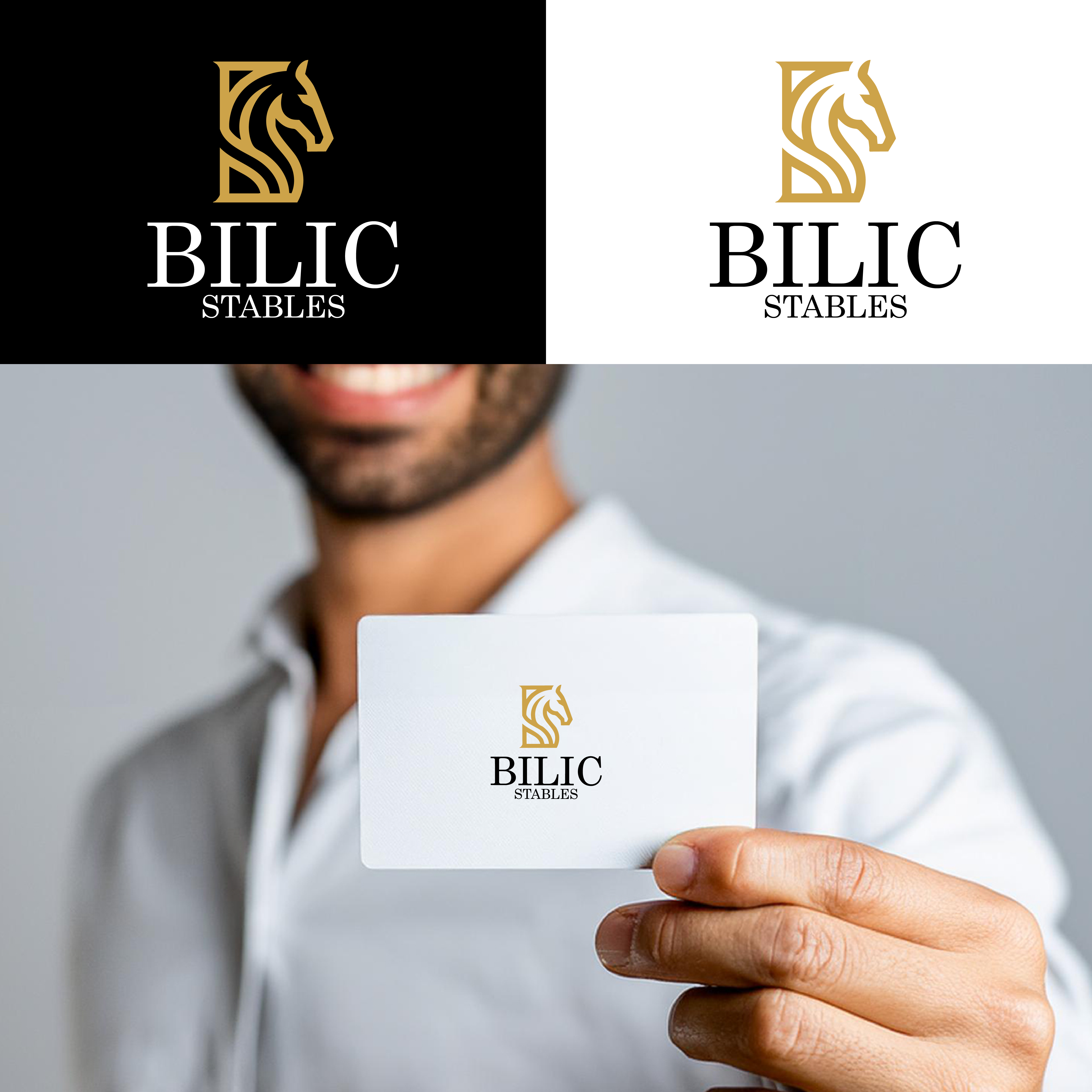 Logo Design by OWL-STUDIO for Blue Star Charters & Tours, Inc. | Design #37032715