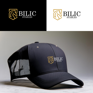 Logo Design by OWL-STUDIO for Blue Star Charters & Tours, Inc. | Design: #37032799