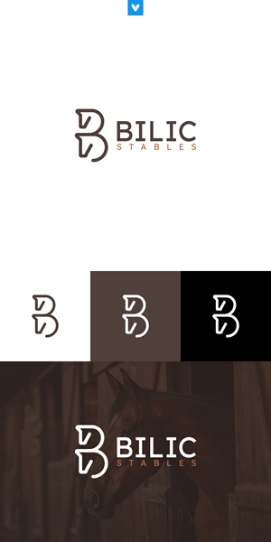 Logo Design by ViniRatieri for Blue Star Charters & Tours, Inc. | Design #37032720