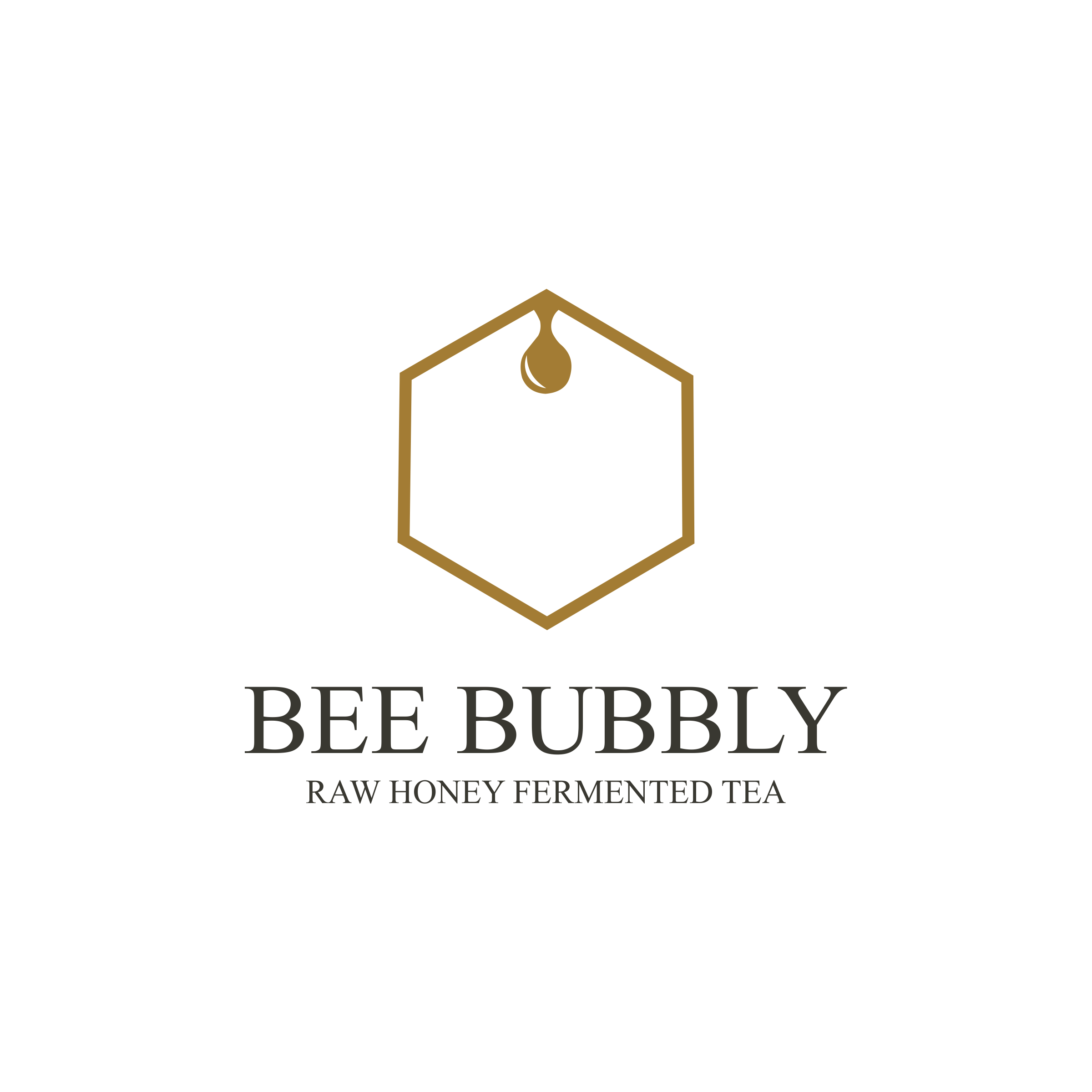 Logo Design by vanion282 for this project | Design #37024182