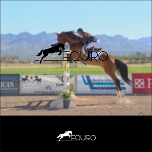 Design de Logo par Arttosungging pour ce projet | Design : #37009198