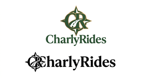 Logo Design by sajjad 26 for Açai plus | Design: #37032147