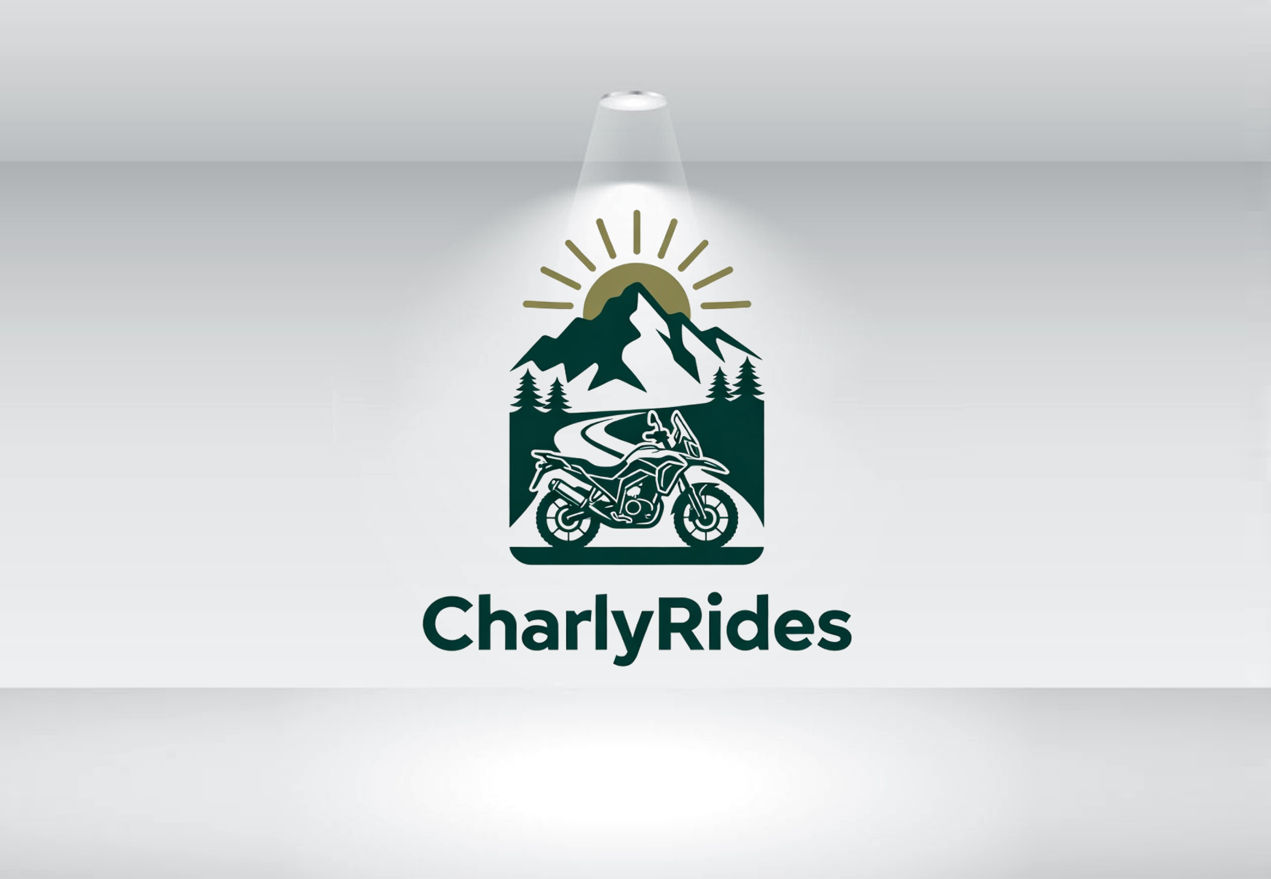 Design de Logo par Nova Creative Designs pour Açai plus | Design #37007247