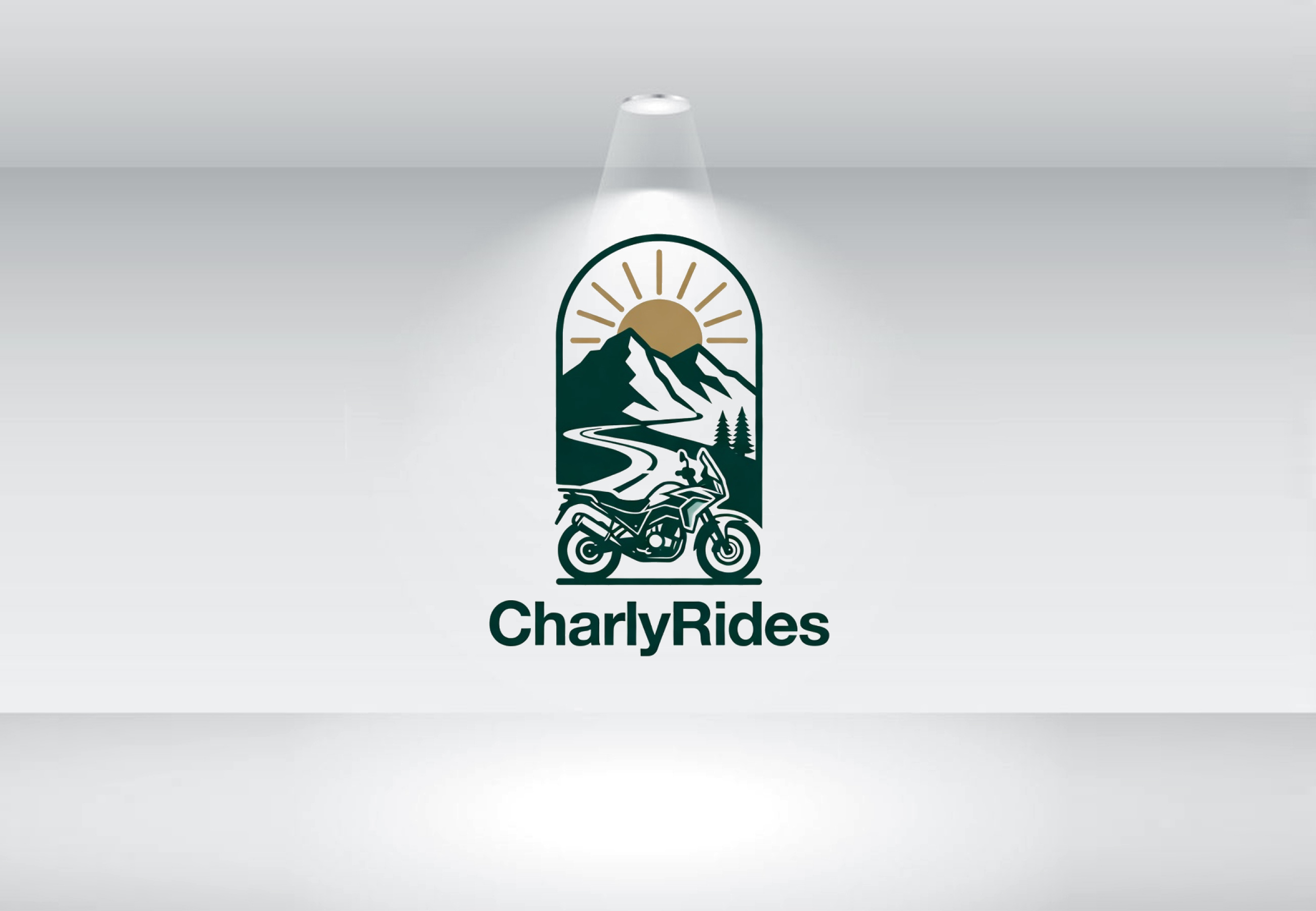 Design de Logo par Nova Creative Designs pour Açai plus | Design #37007248