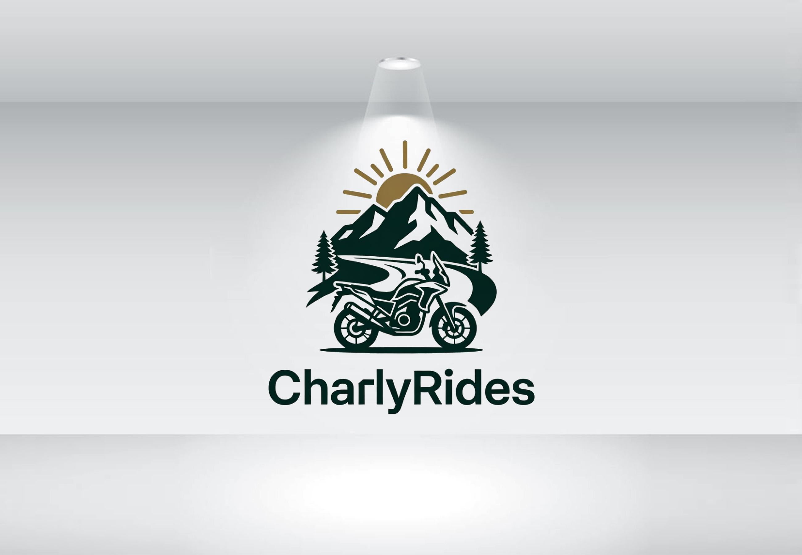 Diseño de Logo por Nova Creative Designs para Açai plus | Diseño #37007249