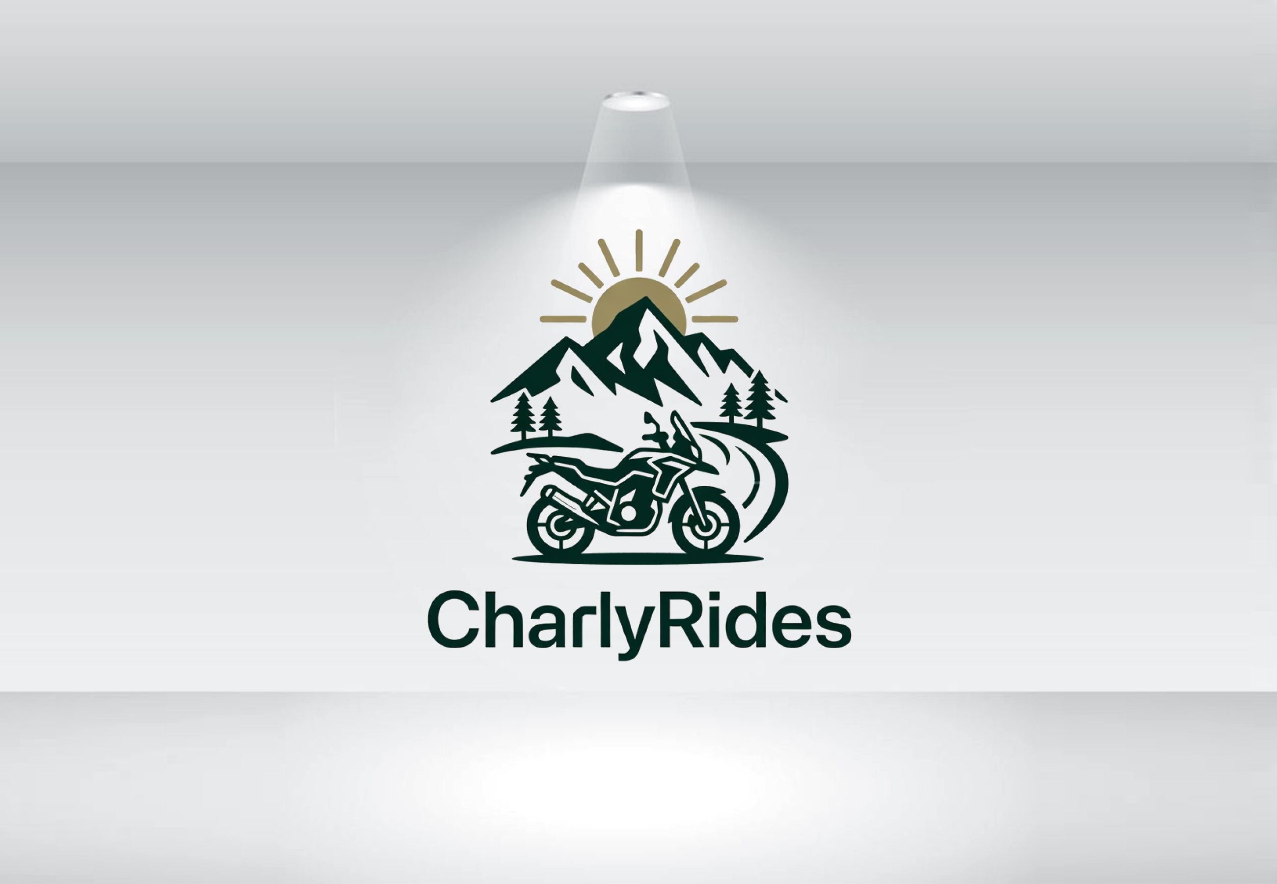 Logo Design by Nova Creative Designs for Açai plus | Design #37007250