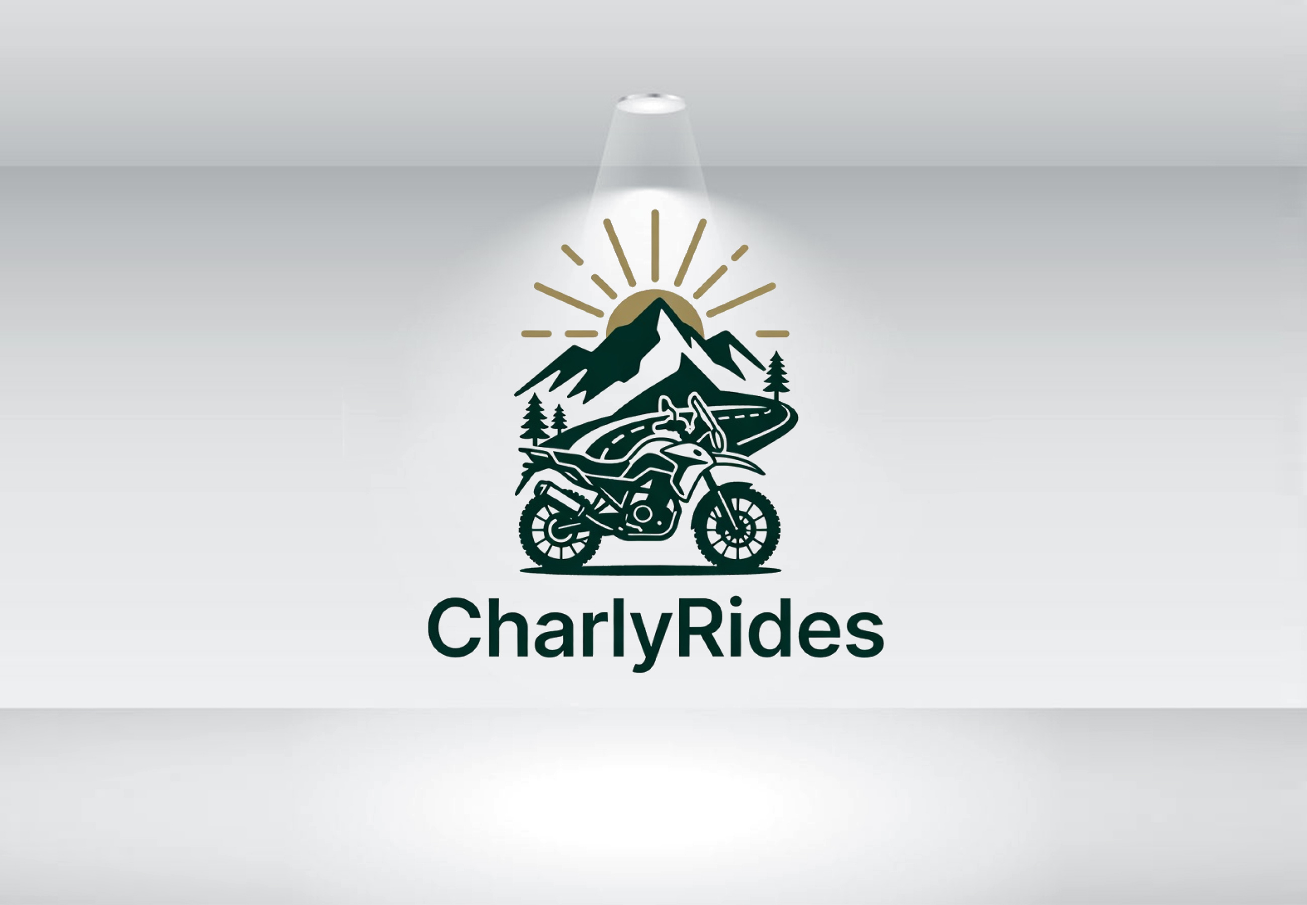 Logo Design by Nova Creative Designs for Açai plus | Design #37007251